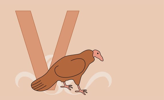 The letter V with a vulture
