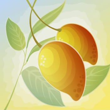 Two mangoes