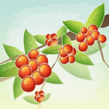 Red grapes
