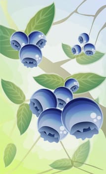 Close-up of blueberries