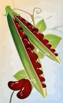 Close-up of beans