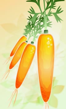 Close-up of four carrots