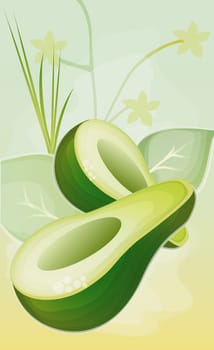 Avocado