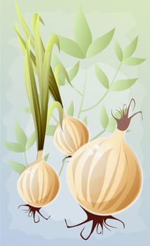 Three turnips