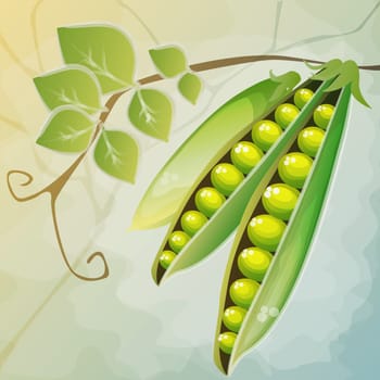 Close-up of green peas in a pod