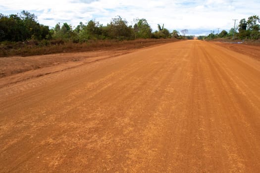 new road construction in the jungle. deforestation in favor of development. dirt road soon to be asphalted.