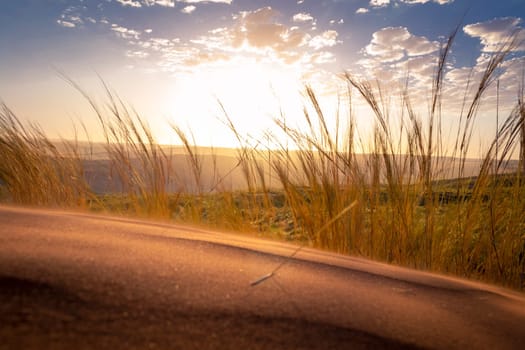 Sand dunes landscape of Namibia during bright sunset with blue sky and clouds. Grass waving in the foreground. Horizon in the far distance.