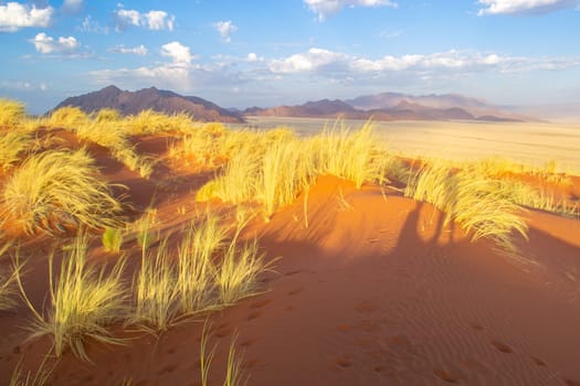 Dreamy dune landscape during sunset of the dunes in Sossusvlei, Namibia. Travel, tourism and adventure in Africa.