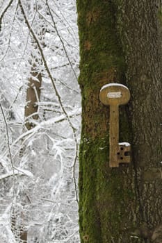 wooden key