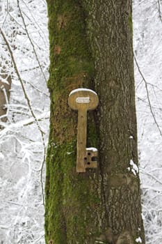 wooden key
