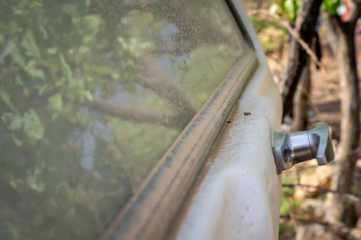 Dust at the rear of a pick-up truck window caused by driving off-road in the nature. Close-up and detail.