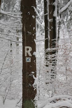 Rennsteig