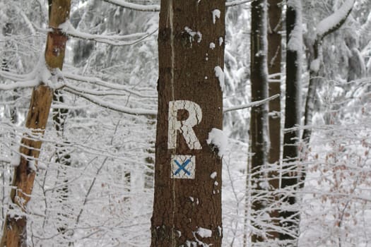 Rennsteig