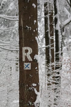 Rennsteig