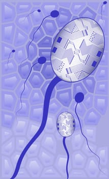 Close-up of human sperm