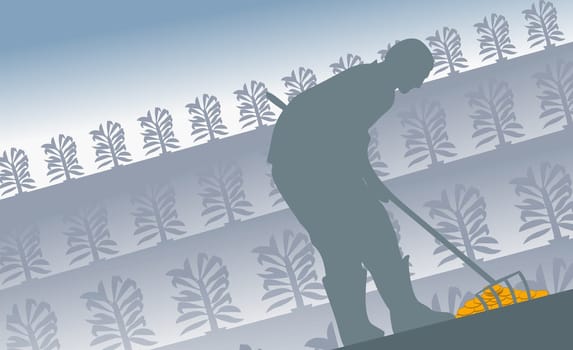 Side profile of a farmer digging