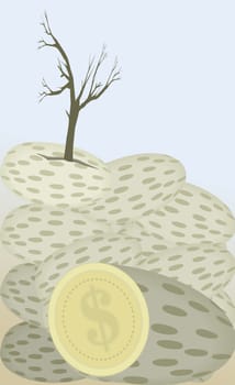 Coin below a tree