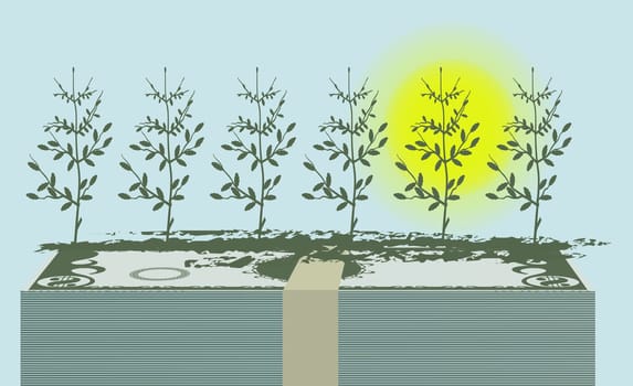 Plants growing on paper currency