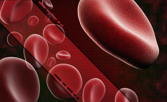 Close-up of human cells