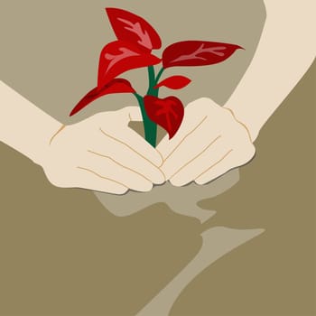 Person's hand planting a sapling