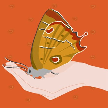 Butterfly on a person's hand
