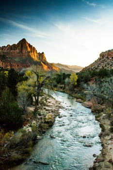 View of the Watchman in Zion National Park, Utah with Virgin River flowing to the mountain range during sunset, coloring the rocks orange
