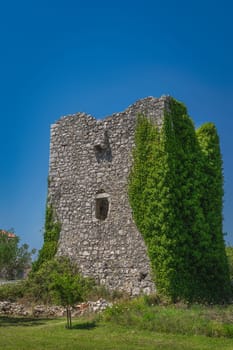 Small defence tower or castle from 16th century, Tower Kastelina, covered by green ivy in Zaton, Croatia