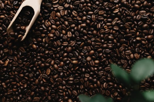 Background with array of dry coffee beans. High quality photo