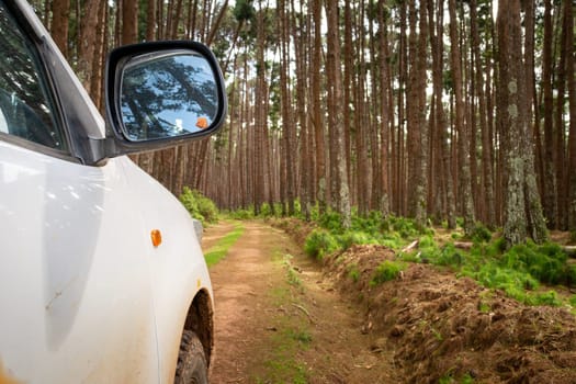 Side view of a 4x4 jeep or truck on a dirt track, heading into the pine forest. Adventure, and off-road driving