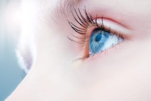 Macro close up of human eye with bright light in background.