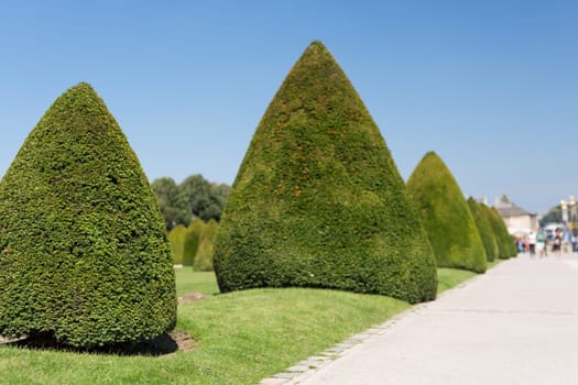 The beautiful gardens of invalides in Paris