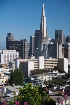 Skyscrapers in a city, Transamerica Pyramid, San Francisco, California, USA