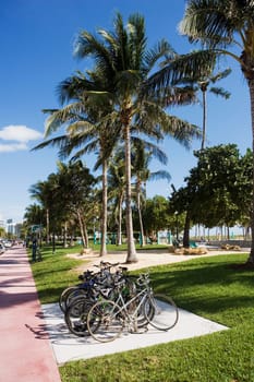 Bicycles parked at the roadside
