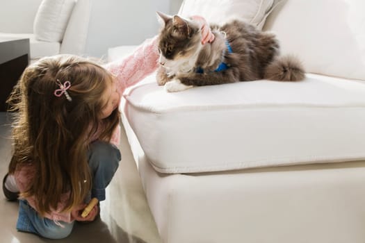 Girl stroking a cat