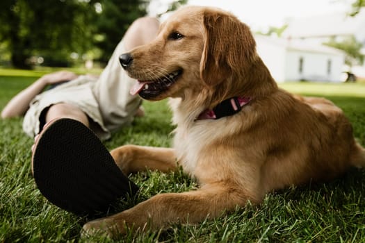 Person lying on grass with a dog sitting beside him