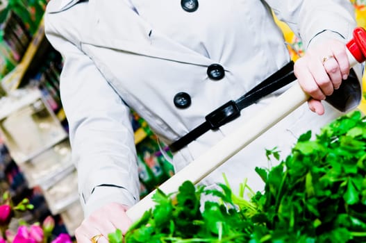 Woman pushing a shopping cart of vegetables