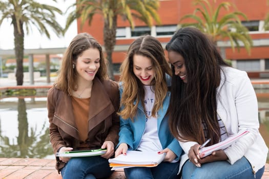 Group multi ethnic young students at the university campus