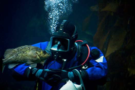 Scuba diver underwater