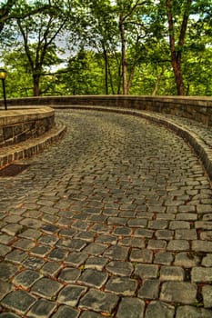 Trees along a cobblestone path