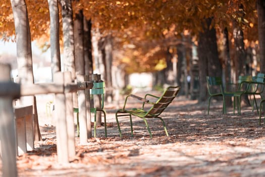 Autumn in Paris. Garden Tuileries. Scenic view of the autumn park with fallen leaves