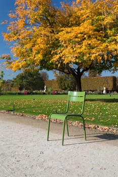 Autumn in Paris. Garden Tuileries. Scenic view of the autumn park with fallen leaves