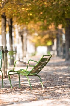 Autumn in Paris. Garden Tuileries. Scenic view of the autumn park with fallen leaves