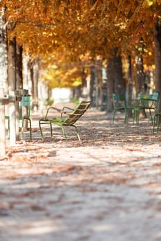 Autumn in Paris. Garden Tuileries. Scenic view of the autumn park with fallen leaves
