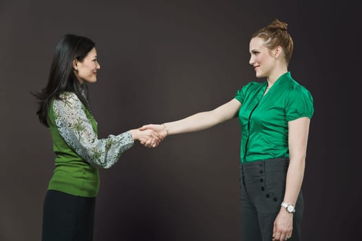 Businesswomen shaking hands