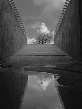 Bridge after rain