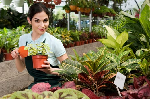 Woman holding a potted plant in a greenhouse
