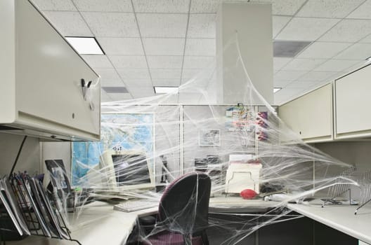 Office interiors covered with cobwebs