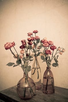 Flower pots on a table in a living room