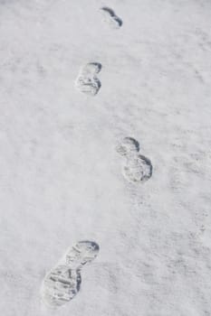 Footprints in snow, Grand Teton National Park, Wyoming, USA