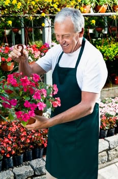 Man holding a hanging basket in a greenhouse